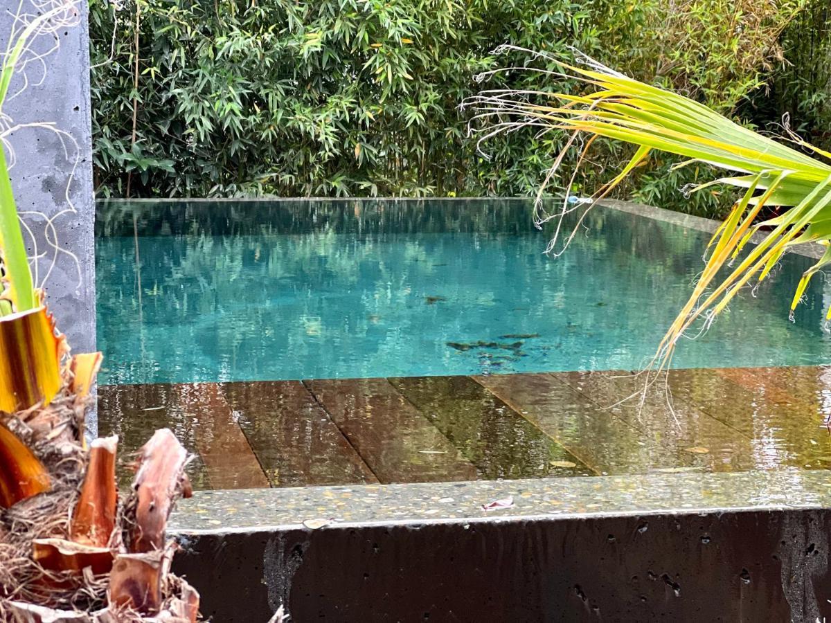 La Villa Canopee - Piscine Chauffee-Fibre-Clim-Jacuzzi グジャン・メストラ エクステリア 写真